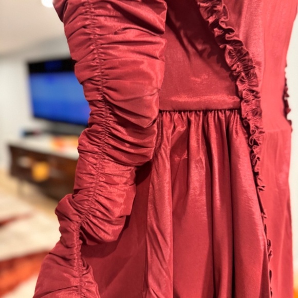 NWT Maison Amory Charlotte Dress in Cherry Jewel - Picture 5 of 9